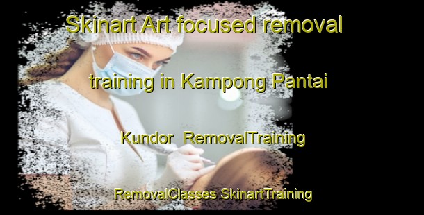 Skinart Art-focused removal training in Kampong Pantai Kundor | #RemovalTraining #RemovalClasses #SkinartTraining-Malaysia