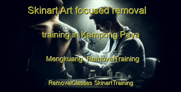 Skinart Art-focused removal training in Kampong Paya Mengkuang | #RemovalTraining #RemovalClasses #SkinartTraining-Malaysia