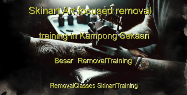 Skinart Art-focused removal training in Kampong Sekaan Besar | #RemovalTraining #RemovalClasses #SkinartTraining-Malaysia