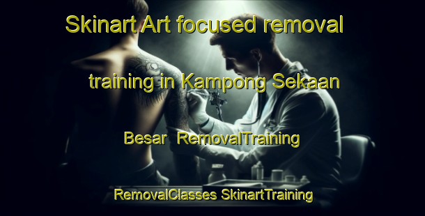 Skinart Art-focused removal training in Kampong Sekaan Besar | #RemovalTraining #RemovalClasses #SkinartTraining-Malaysia