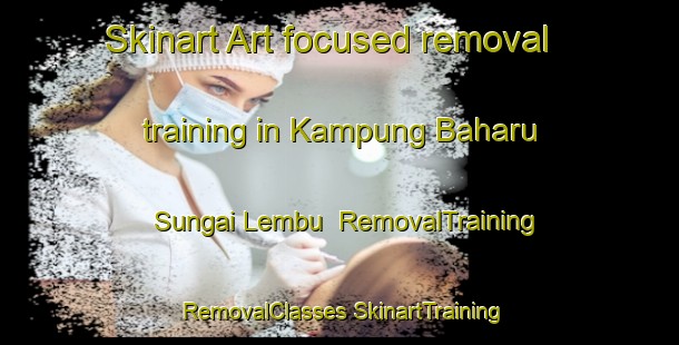 Skinart Art-focused removal training in Kampung Baharu Sungai Lembu | #RemovalTraining #RemovalClasses #SkinartTraining-Malaysia