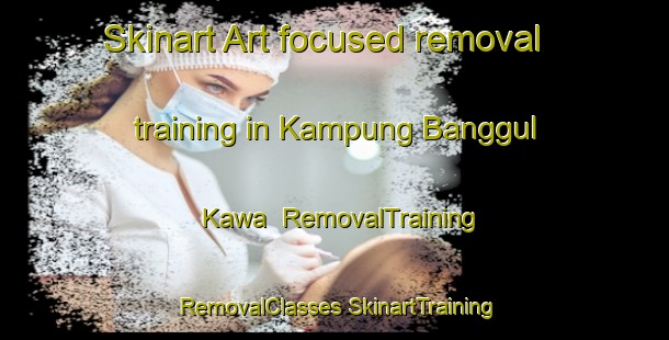 Skinart Art-focused removal training in Kampung Banggul Kawa | #RemovalTraining #RemovalClasses #SkinartTraining-Malaysia