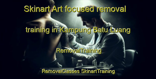 Skinart Art-focused removal training in Kampung Batu Luang | #RemovalTraining #RemovalClasses #SkinartTraining-Malaysia