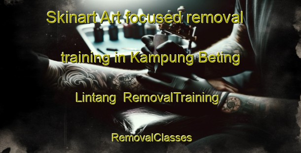 Skinart Art-focused removal training in Kampung Beting Lintang | RemovalTraining | RemovalClasses | SkinartTraining-Malaysia