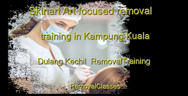 Skinart Art-focused removal training in Kampung Kuala Dulang Kechil | RemovalTraining | RemovalClasses | SkinartTraining-Malaysia