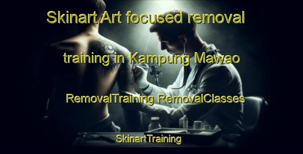 Skinart Art-focused removal training in Kampung Mawao | #RemovalTraining #RemovalClasses #SkinartTraining-Malaysia