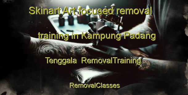 Skinart Art-focused removal training in Kampung Padang Tenggala | RemovalTraining | RemovalClasses | SkinartTraining-Malaysia