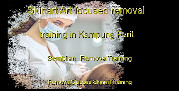 Skinart Art-focused removal training in Kampung Parit Sembilan | #RemovalTraining #RemovalClasses #SkinartTraining-Malaysia