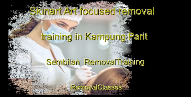 Skinart Art-focused removal training in Kampung Parit Sembilan | RemovalTraining | RemovalClasses | SkinartTraining-Malaysia