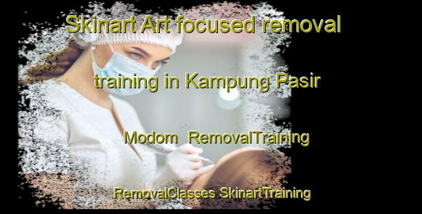 Skinart Art-focused removal training in Kampung Pasir Modom | #RemovalTraining #RemovalClasses #SkinartTraining-Malaysia