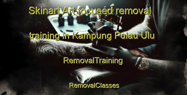 Skinart Art-focused removal training in Kampung Pulau Ulu | RemovalTraining | RemovalClasses | SkinartTraining-Malaysia