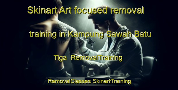 Skinart Art-focused removal training in Kampung Sawah Batu Tiga | #RemovalTraining #RemovalClasses #SkinartTraining-Malaysia