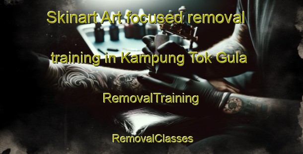 Skinart Art-focused removal training in Kampung Tok Gula | RemovalTraining | RemovalClasses | SkinartTraining-Malaysia