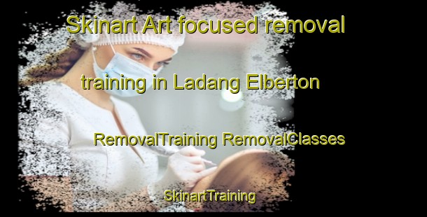 Skinart Art-focused removal training in Ladang Elberton | #RemovalTraining #RemovalClasses #SkinartTraining-Malaysia