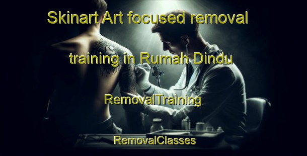 Skinart Art-focused removal training in Rumah Dindu | RemovalTraining | RemovalClasses | SkinartTraining-Malaysia