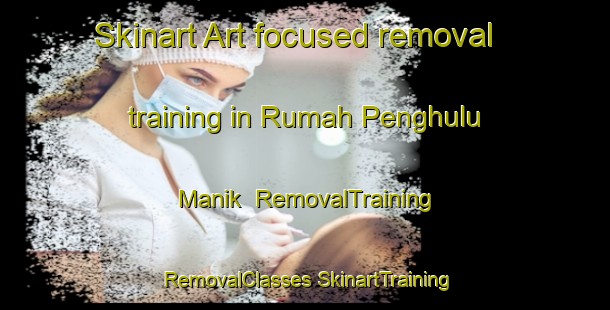 Skinart Art-focused removal training in Rumah Penghulu Manik | #RemovalTraining #RemovalClasses #SkinartTraining-Malaysia