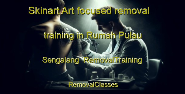 Skinart Art-focused removal training in Rumah Pulau Sengalang | RemovalTraining | RemovalClasses | SkinartTraining-Malaysia