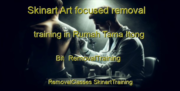 Skinart Art-focused removal training in Rumah Tama Itong Bit | #RemovalTraining #RemovalClasses #SkinartTraining-Malaysia