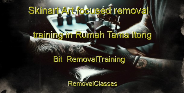 Skinart Art-focused removal training in Rumah Tama Itong Bit | RemovalTraining | RemovalClasses | SkinartTraining-Malaysia