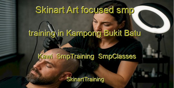 Skinart Art-focused smp training in Kampong Bukit Batu Kawi | SmpTraining | SmpClasses | SkinartTraining-Malaysia