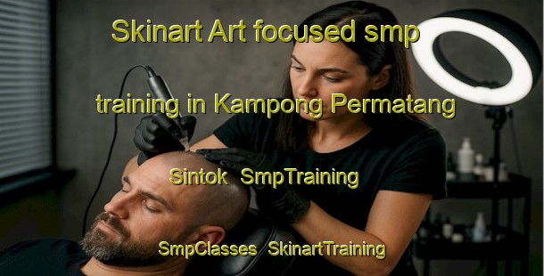 Skinart Art-focused smp training in Kampong Permatang Sintok | SmpTraining | SmpClasses | SkinartTraining-Malaysia