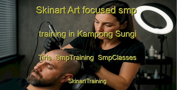 Skinart Art-focused smp training in Kampong Sungi Tiris | SmpTraining | SmpClasses | SkinartTraining-Malaysia