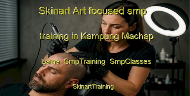 Skinart Art-focused smp training in Kampung Machap Lama | SmpTraining | SmpClasses | SkinartTraining-Malaysia