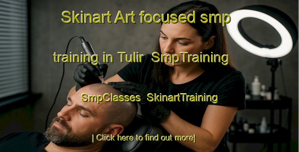 Skinart Art-focused smp training in Tulir | SmpTraining | SmpClasses | SkinartTraining-Malaysia