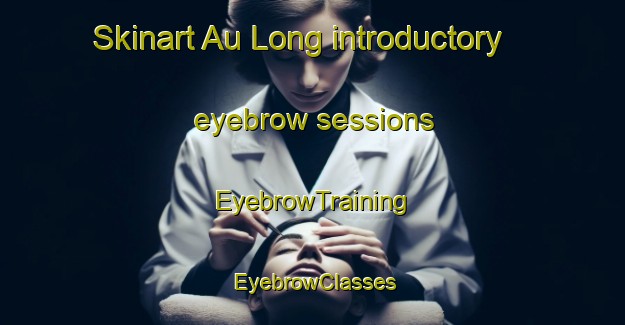 Skinart Au Long introductory eyebrow sessions | EyebrowTraining | EyebrowClasses | SkinartTraining-Malaysia