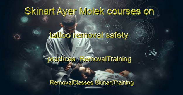 Skinart Ayer Molek courses on tattoo removal safety practices | #RemovalTraining #RemovalClasses #SkinartTraining-Malaysia