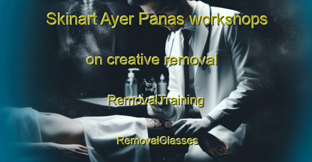 Skinart Ayer Panas workshops on creative removal | RemovalTraining | RemovalClasses | SkinartTraining-Malaysia