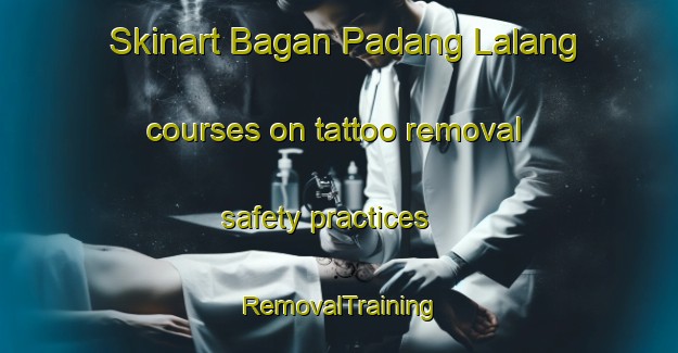 Skinart Bagan Padang Lalang courses on tattoo removal safety practices | RemovalTraining | RemovalClasses | SkinartTraining-Malaysia