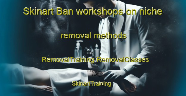 Skinart Ban workshops on niche removal methods | #RemovalTraining #RemovalClasses #SkinartTraining-Malaysia