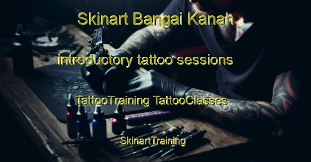 Skinart Bangai Kanah introductory tattoo sessions | #TattooTraining #TattooClasses #SkinartTraining-Malaysia