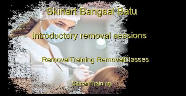 Skinart Bangsal Batu introductory removal sessions | #RemovalTraining #RemovalClasses #SkinartTraining-Malaysia