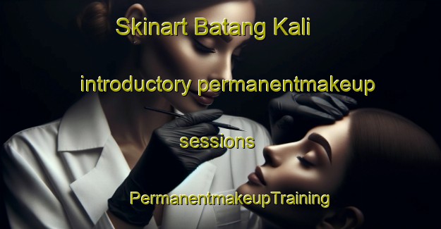 Skinart Batang Kali introductory permanentmakeup sessions | #PermanentmakeupTraining #PermanentmakeupClasses #SkinartTraining-Malaysia