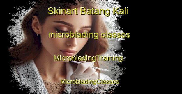 Skinart Batang Kali microblading classes | MicrobladingTraining | MicrobladingClasses | SkinartTraining-Malaysia