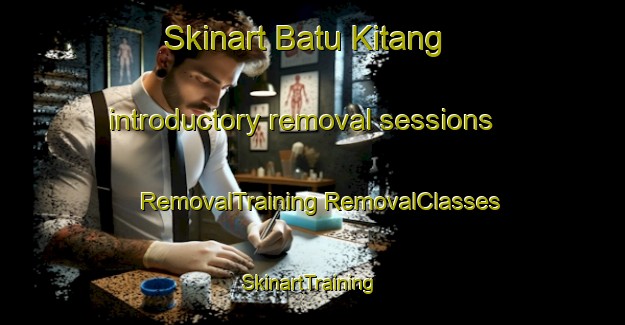 Skinart Batu Kitang introductory removal sessions | #RemovalTraining #RemovalClasses #SkinartTraining-Malaysia