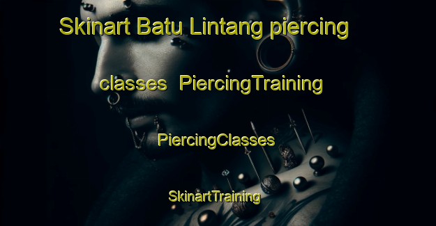 Skinart Batu Lintang piercing classes | #PiercingTraining #PiercingClasses #SkinartTraining-Malaysia