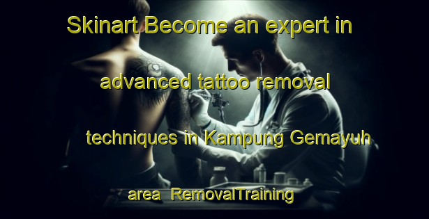 Skinart Become an expert in advanced tattoo removal techniques in Kampung Gemayuh area | RemovalTraining | RemovalClasses | SkinartTraining-Malaysia