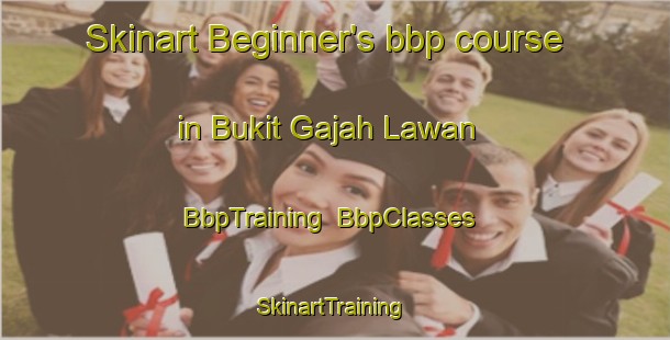 Skinart Beginner's bbp course in Bukit Gajah Lawan | BbpTraining | BbpClasses | SkinartTraining-Malaysia