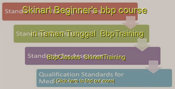 Skinart Beginner's bbp course in Taman Tunggal | BbpTraining | BbpClasses | SkinartTraining-Malaysia