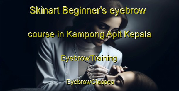 Skinart Beginner's eyebrow course in Kampong Apit Kepala | EyebrowTraining | EyebrowClasses | SkinartTraining-Malaysia