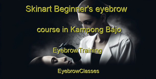 Skinart Beginner's eyebrow course in Kampong Bajo | EyebrowTraining | EyebrowClasses | SkinartTraining-Malaysia