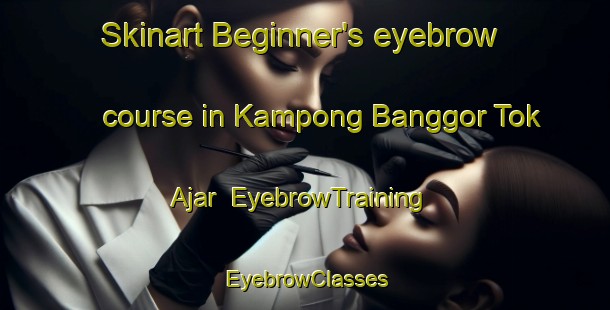 Skinart Beginner's eyebrow course in Kampong Banggor Tok Ajar | EyebrowTraining | EyebrowClasses | SkinartTraining-Malaysia