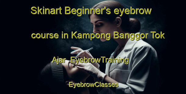 Skinart Beginner's eyebrow course in Kampong Banggor Tok Ajar | EyebrowTraining | EyebrowClasses | SkinartTraining-Malaysia