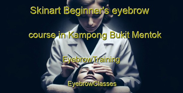 Skinart Beginner's eyebrow course in Kampong Bukit Mentok | EyebrowTraining | EyebrowClasses | SkinartTraining-Malaysia