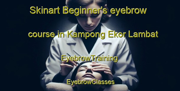 Skinart Beginner's eyebrow course in Kampong Ekor Lambat | EyebrowTraining | EyebrowClasses | SkinartTraining-Malaysia