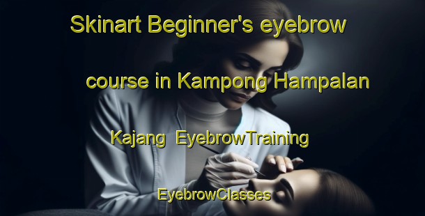 Skinart Beginner's eyebrow course in Kampong Hampalan Kajang | EyebrowTraining | EyebrowClasses | SkinartTraining-Malaysia