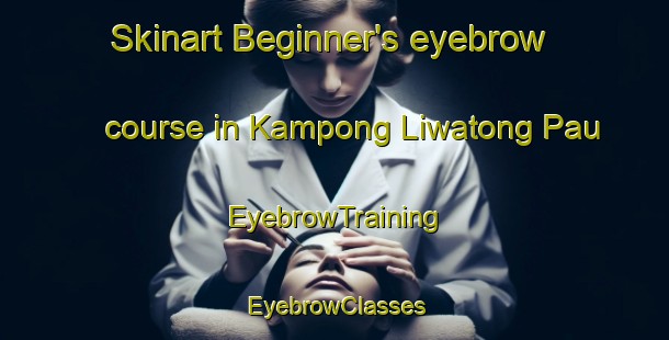 Skinart Beginner's eyebrow course in Kampong Liwatong Pau | EyebrowTraining | EyebrowClasses | SkinartTraining-Malaysia